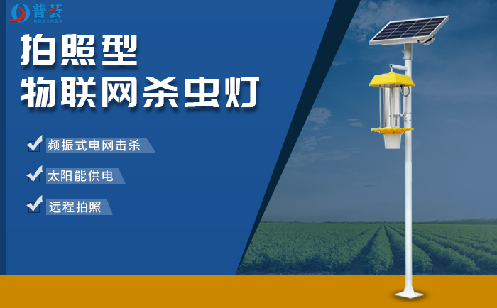 農(nóng)業(yè)物聯(lián)網(wǎng)技術(shù)的落地，用拍照型殺蟲燈“監(jiān)測”家中病蟲害